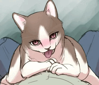 あかいねこ