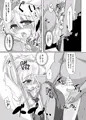第１３回東方紅楼夢新刊