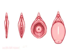 膣