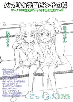 パプリカ学園ピンサロ科