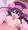 シャクヤク