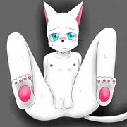 しろねこ2
