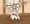 ライザちゃん拘束