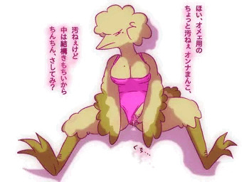 底辺の鳥女性