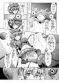 駆錬輝晶 クォルタ アメテュス #13