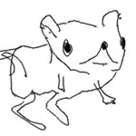 もずく　
