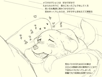 愛犬マシェリの性事情