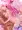 姫熊りぼん叡智絵