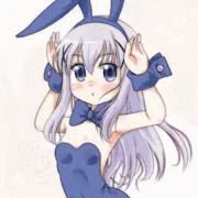 どやるうさぎチノちゃん