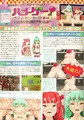 ハメゲー！-ゲームセンターのあのこ-