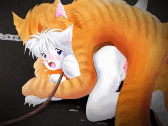 サカリ猫