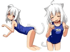 うちのこ