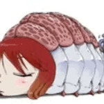 瀬戸内