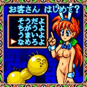 バニー氏の日