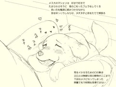 愛犬マシェリの性事情