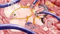 放課後退魔官ナツミ－廃屋の淫魔－全編★発売中