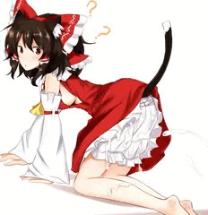 ドロワもおかず