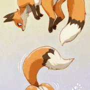 雪に飛び込むよキツネちゃん