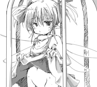 殻の中の羽虫