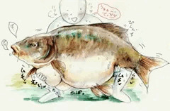 鯉の形したち●ぽ扱き穴付き孕み袋