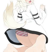 わんこ