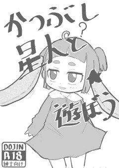嘘表紙とその後
