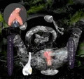 石化・クリ残し・絶頂停止
