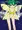 メスガキフェアリー