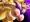 キュウビクッパ　全体公開