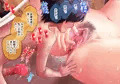 僕が初めてセックスした夜-新婚お姉さんがフェラ胸ワレメアナルで朝まで精液しぼり尽くしてくれた