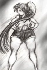 何かどこかで見た格闘家娘。