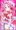 260324「キュアミスティック(探プリ)」抱き枕B