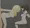 蓮子