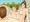 エロラブコメ風ドラクエ11