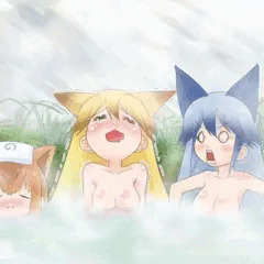 イケないキタキツネ