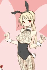 バニーの日