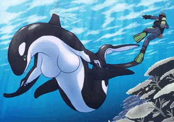 シャチっぽい水棲系メスドラさん