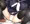 前から見える尻
