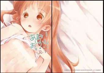 C88　新刊表紙