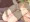 ニジエたんと