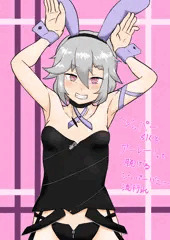 ジッパーバニー服