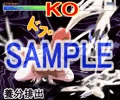 丸呑→消化→放出
