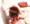さんたさんもぷれぜんとほしい