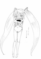 2014年　ミクの日