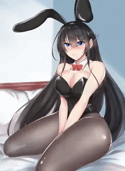 バニーの日