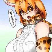 猫は液体だから