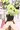 催眠セツリちゃん
