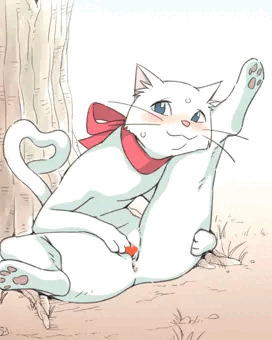 猫の恩返し