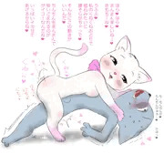 淫ネコちゃん