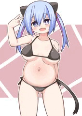 黒猫ビキにんぷ